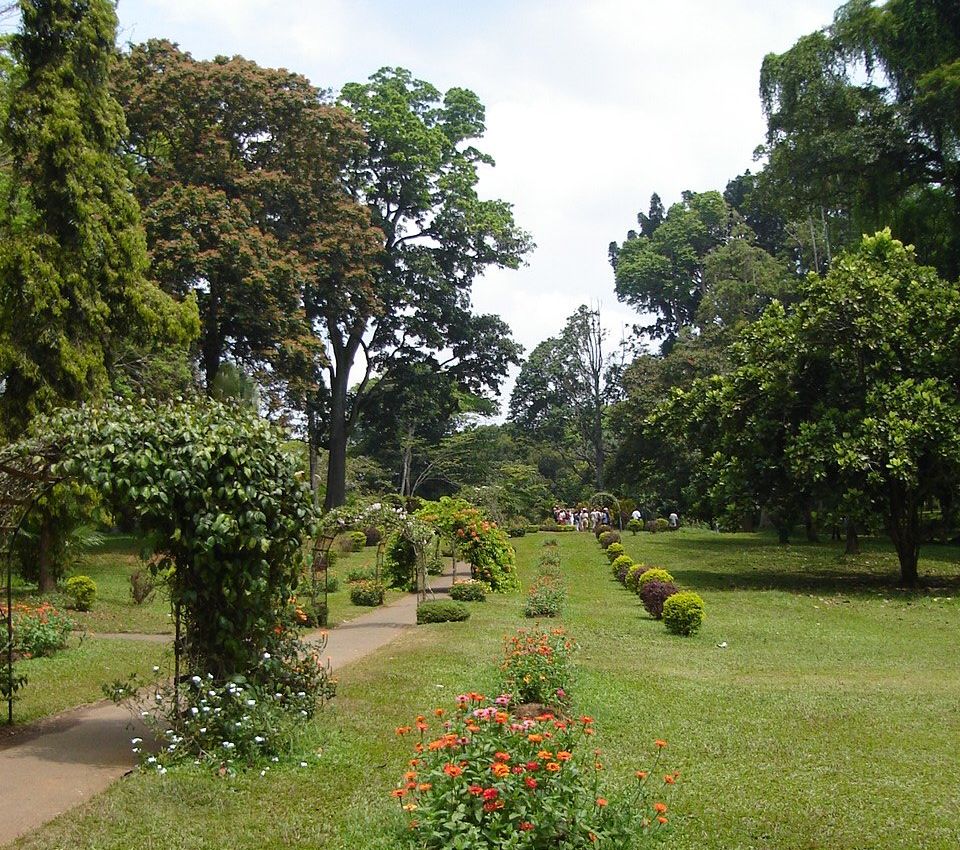 Colonnaded Walkway in Peradeniya Botanic Gardens