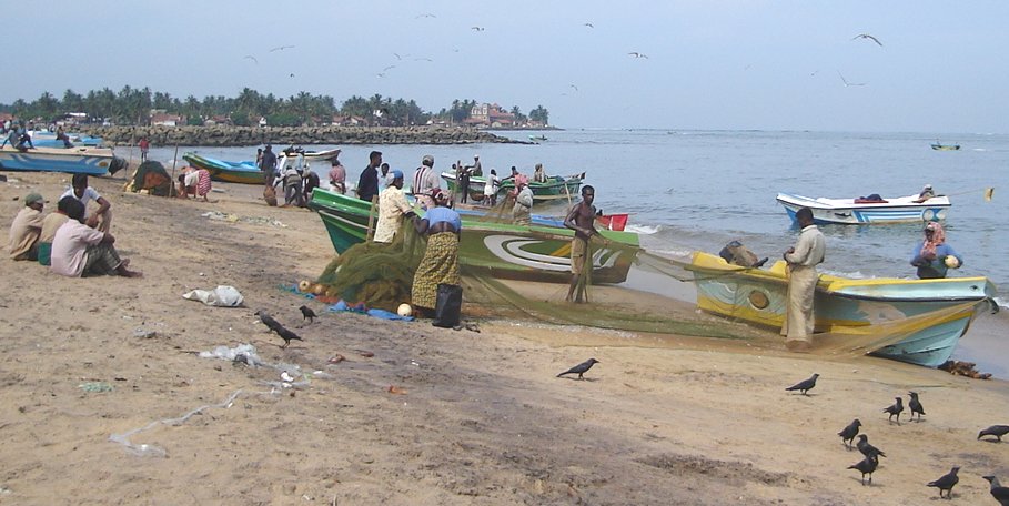 Waterfront at Fish Market in Negombo Town on West Coast of Sri Lanka