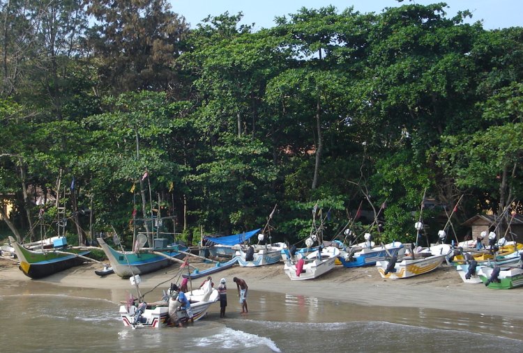 Fishing Boats in Harbour at Galle
