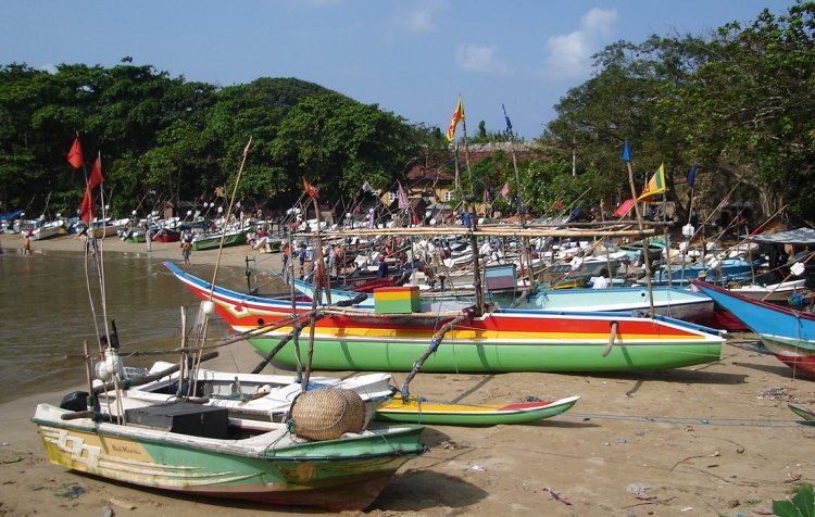 Fishing Boats in Harbour at Galle