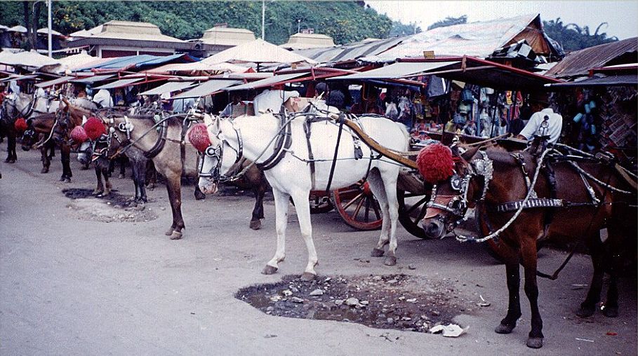 Ponies and traps at the market in Bukittinggi