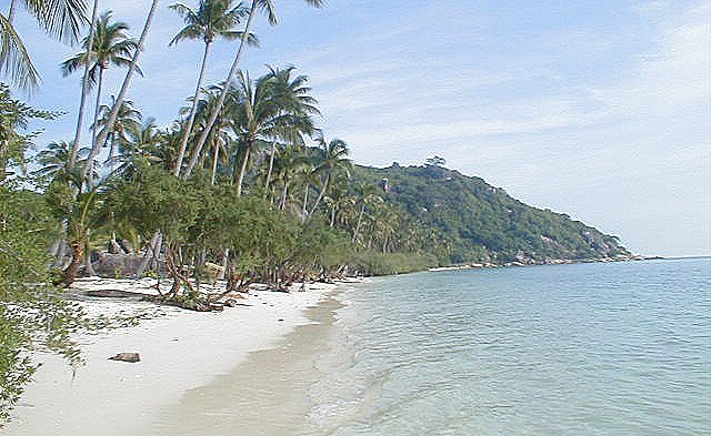Palm Trees and Beach at Ao Wok Tum on Pha Ngan Island in Southern Thailand