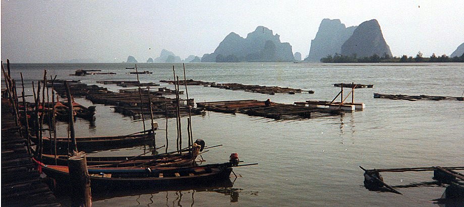 Fishing Boats at Ko Panyi in Phang Nga Bay in Southern Thailand