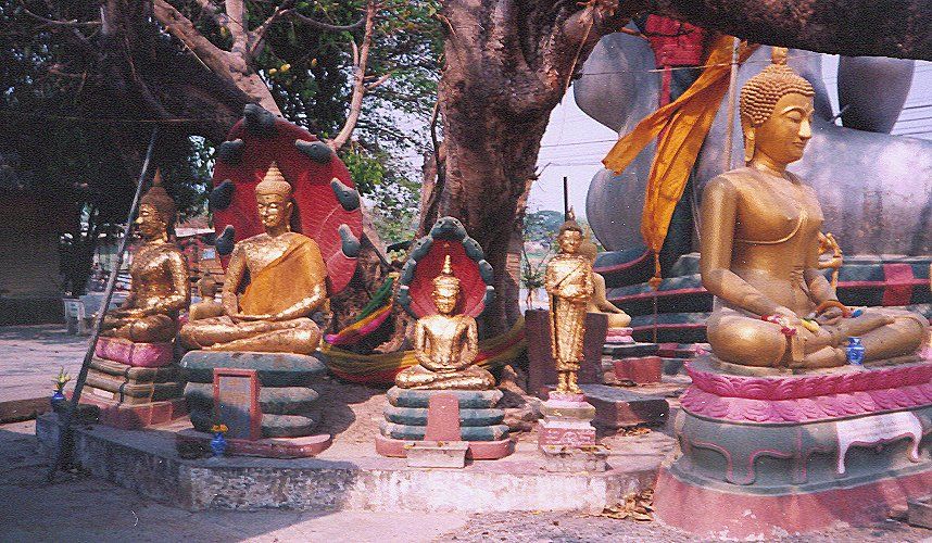 Buddha Images at Wat Mani in Mae Sot