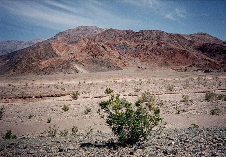 Mohave Desert at southern end of Death Valley