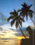 Hawaii_sunset.jpg