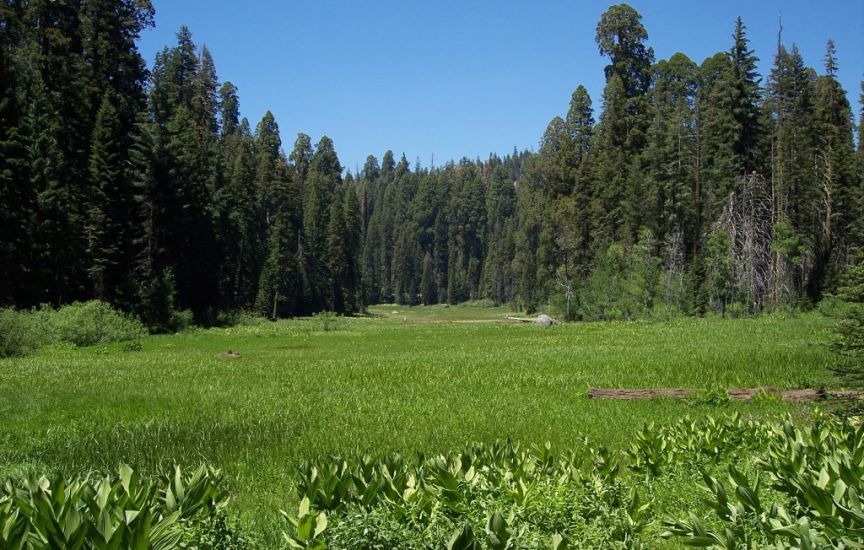 Crescent Meadow in Sequoia National Park