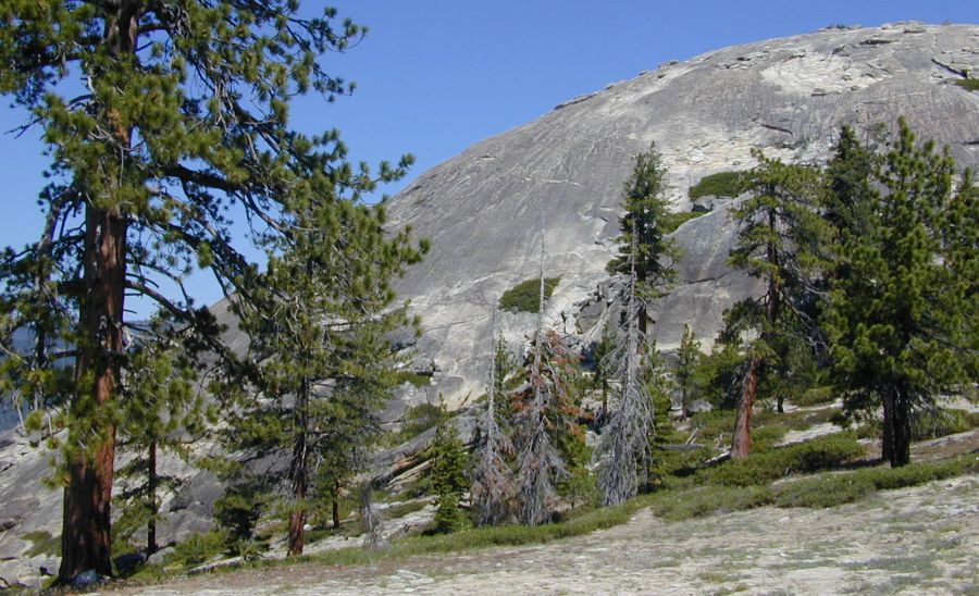 Sentinal Dome in Yosemite Valley