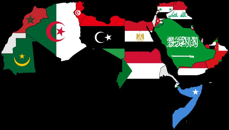 Flags of the Countries of the Arab World