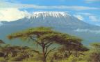 kilimanjaro_3w.jpg