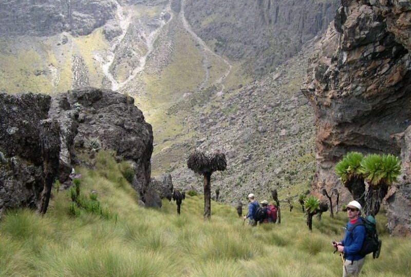 On Ascent of Mount Kenya in East Africa
