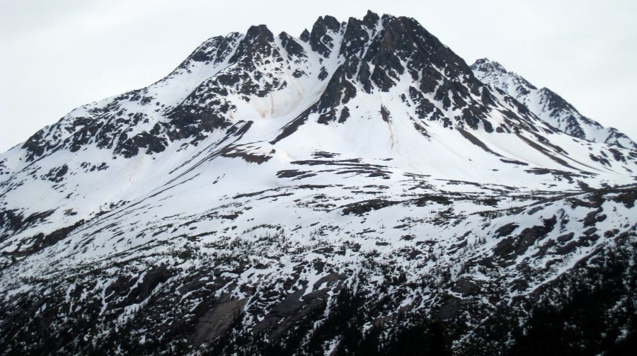 Mountain View from White Pass