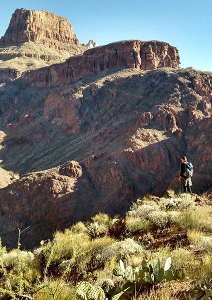 Bright Angel Trail from the South Rim of the Grand Canyon