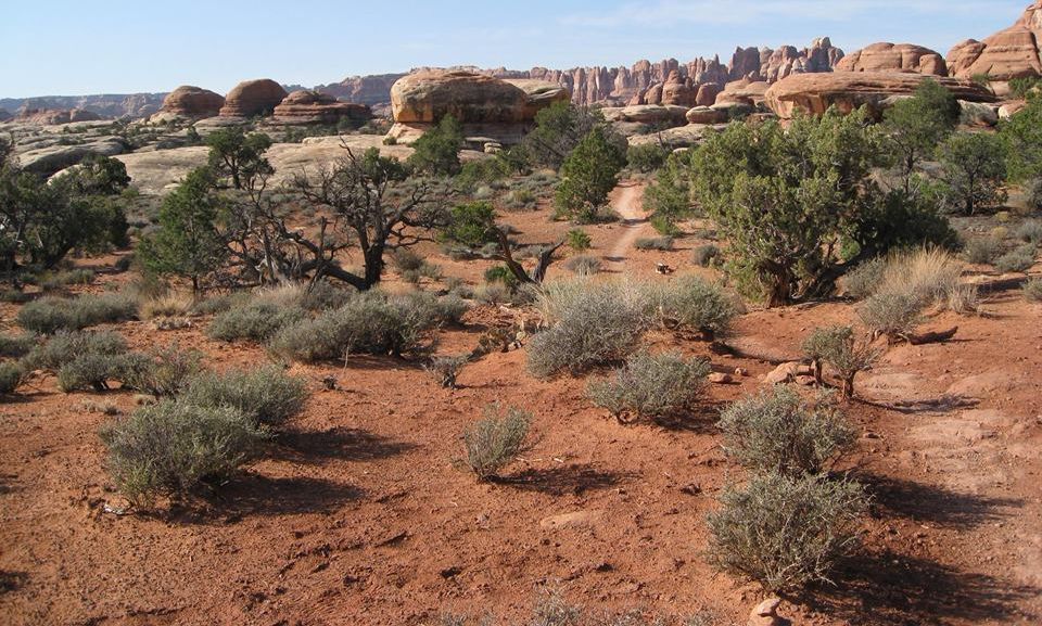 Needles District of Canyonlands National Park - trail from Elephant Hill to Chesler Park