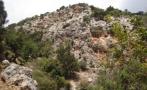 DSC08118.JPG