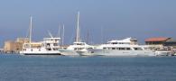 DSC07887.JPG
