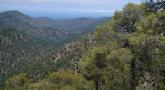 DSC08079.JPG