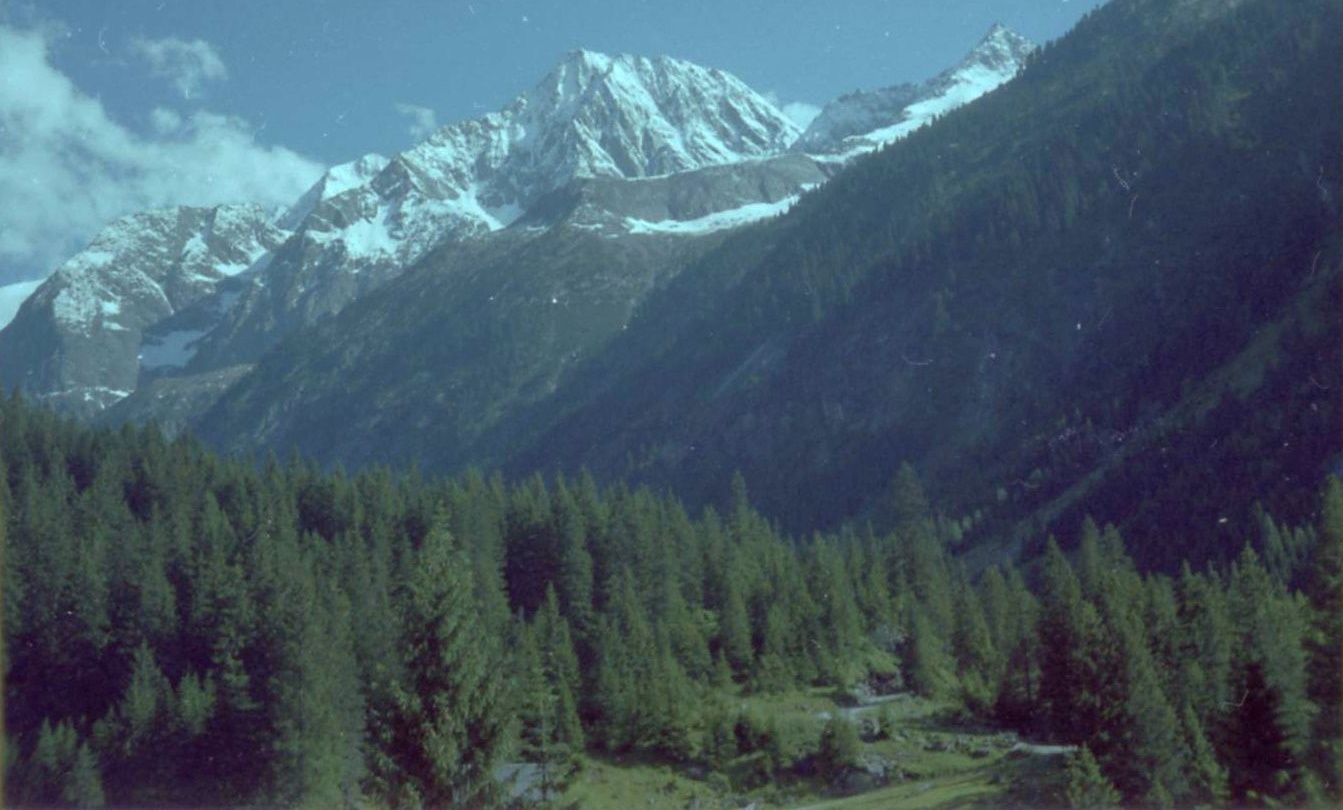 Alpine Peaks above Solda / Sulden Village in NW Italy