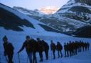Rinderhorn_65_9.jpg