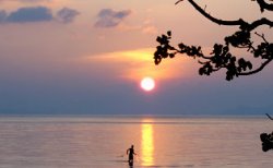 http://www.samuiamandaresort.com/