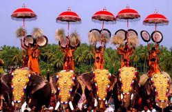 http://www.ecotourskerala.com