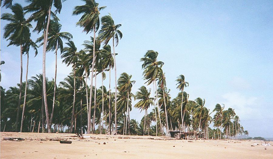 Beach at Cherating on East Coast of Peninsular Malaysia