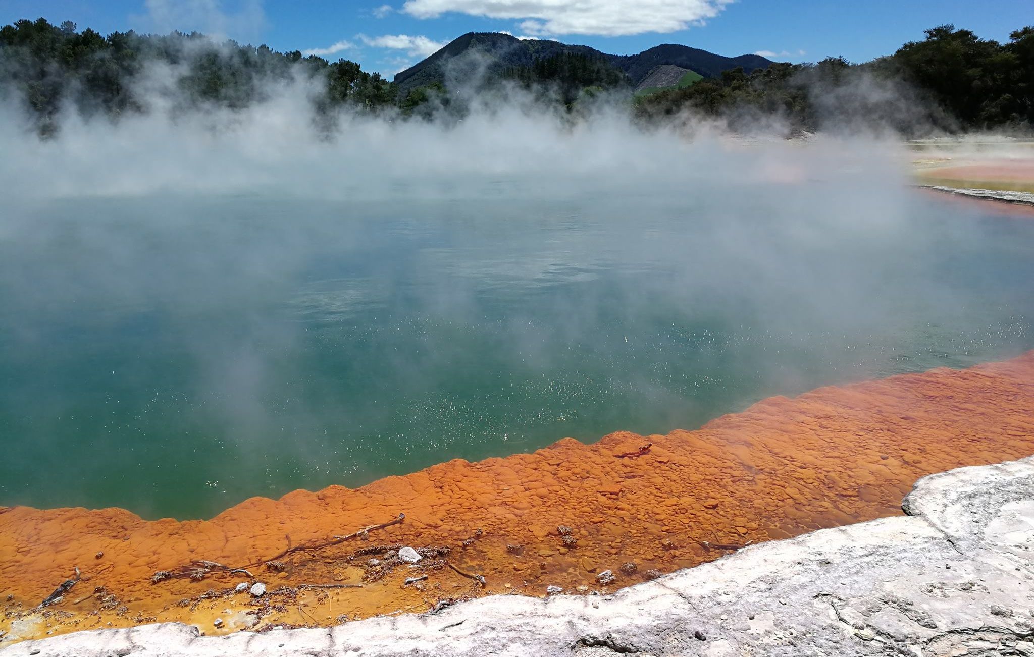 Hot Spring at Rotorua in North Island of New Zealand