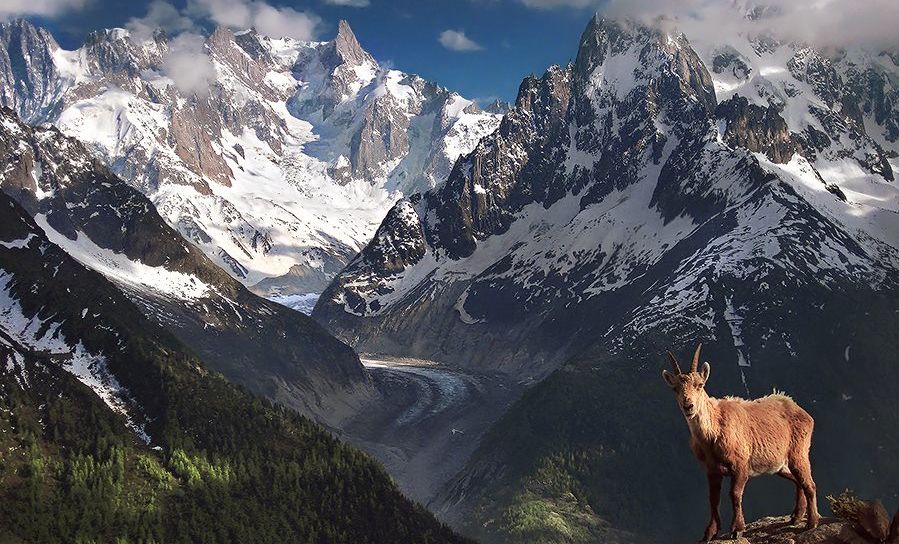 Pakistan Karakoram near Fairy Meadows