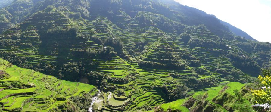 Banaue rice terraces