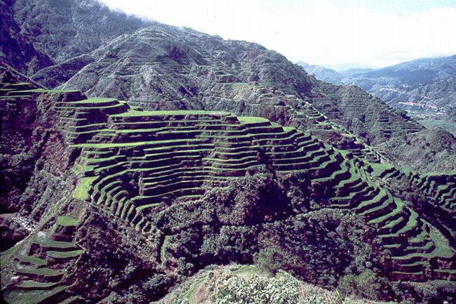 Banaue rice terraces