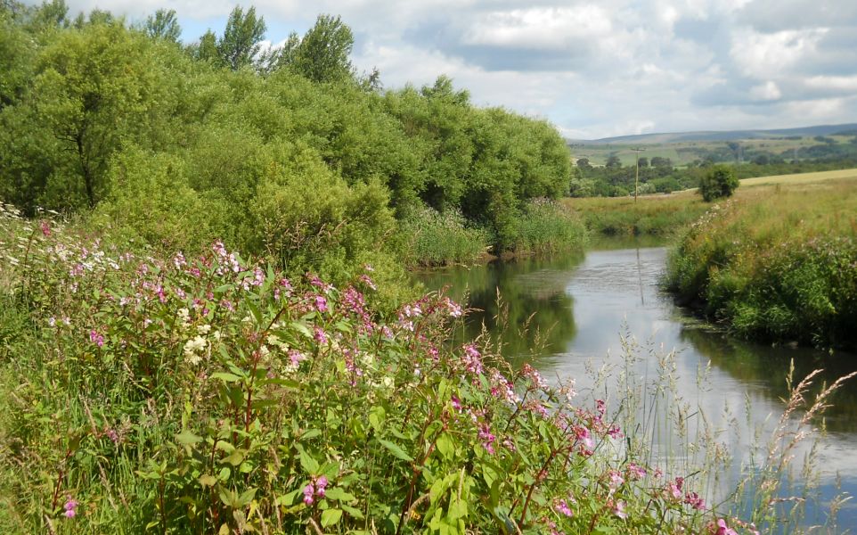 River Kelvin Walkway