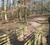 DSCN7449.JPG
