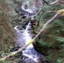 20241111_090825.jpg