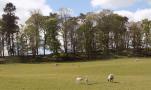 DSCN5593.JPG