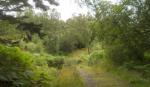 DSCN5879.JPG
