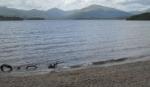 DSCN5914.JPG
