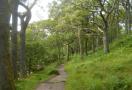 DSCN5921.JPG