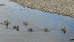 DSCN5932.JPG