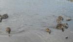 DSCN5933.JPG