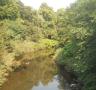 DSCN1576.JPG