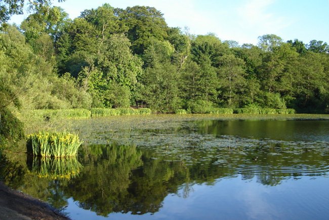 Kilmardinny Loch in Bearsden