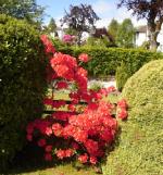 DSC00728.JPG