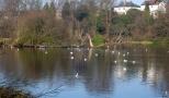 DSC01535.JPG