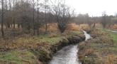 DSCN1471.JPG