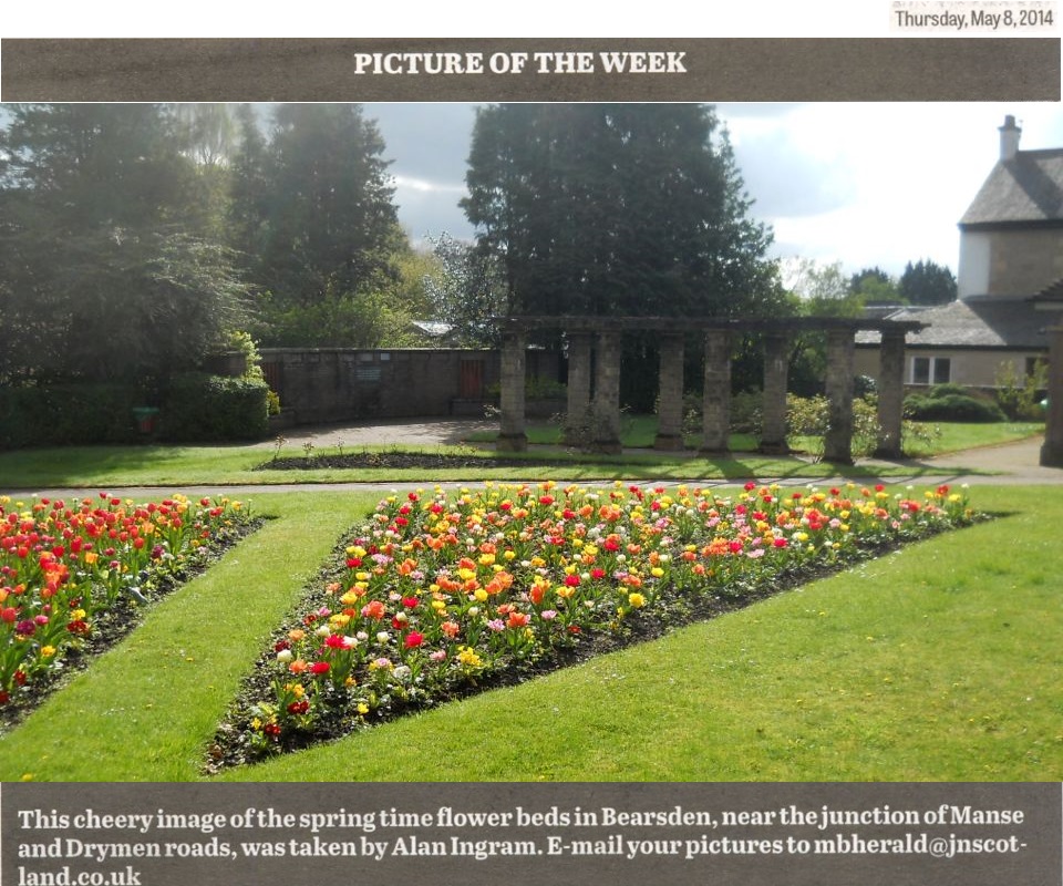 Springtime Flower Bed in Bearsden