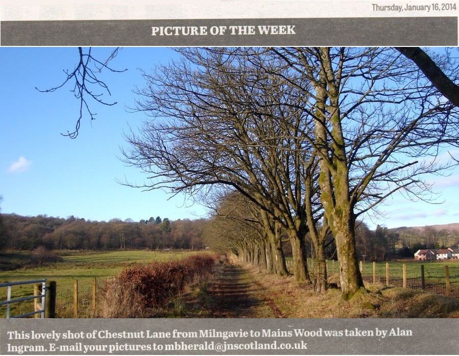 Chestnut Lane from Milngavie to Mains Wood