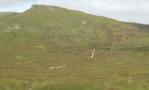 DSCN1295.JPG