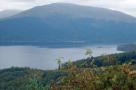 DSCN6794.JPG