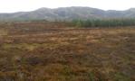 DSCN6848.JPG