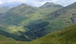 DSC02517.JPG